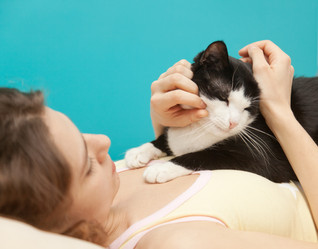 Similar image 6583802