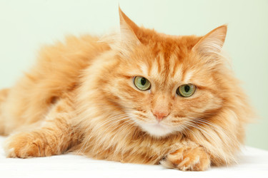 Similar image 6583812