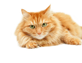 Similar image 6583813