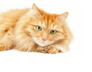 Similar image 6583819