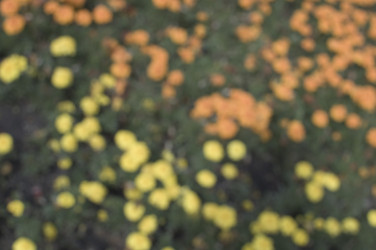 Similar image 6583840