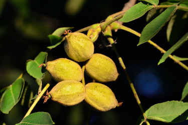 Similar image 6583857