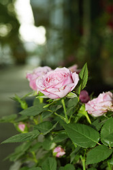 Similar image 6583871