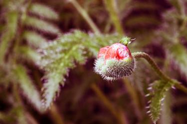 Similar image 6583872