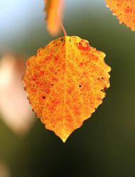 Similar image 6583931