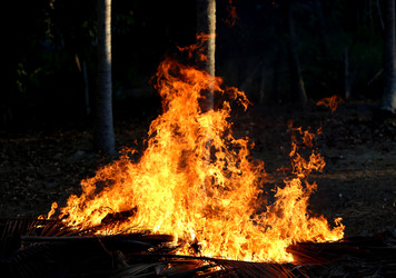 Similar image 6583933