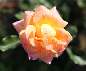 Similar image 6583938