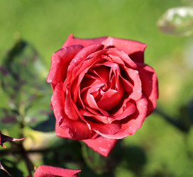 Similar image 6583941