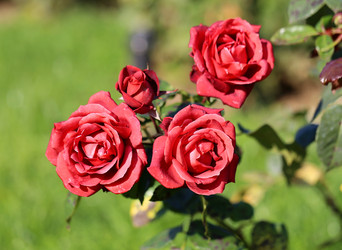 Similar image 6583942