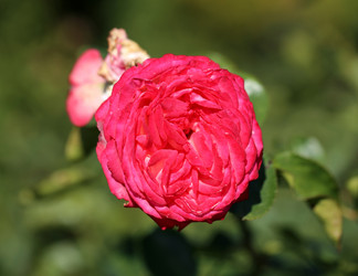 Similar image 6583949