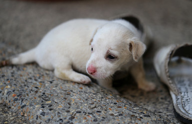 Similar image 6583950