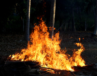 Similar image 6583951