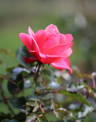 Similar image 6583958