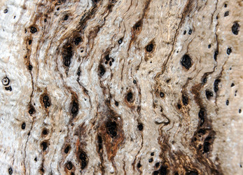 Similar image 6583971