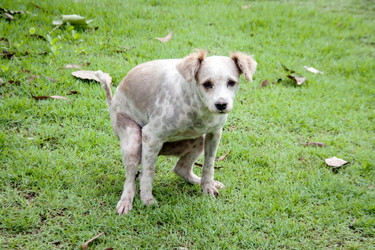 Similar image 6583972