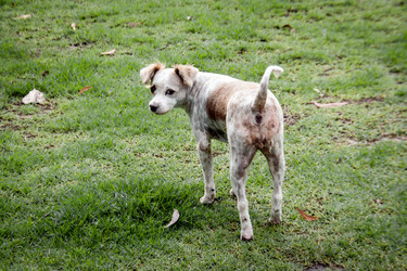 Similar image 6583973