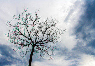 Similar image 6583976