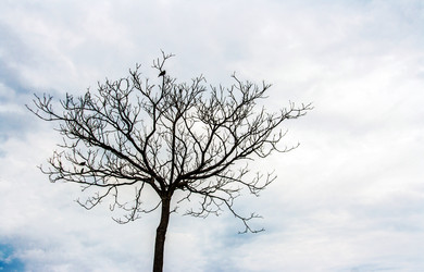 Similar image 6583977