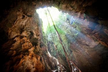 Similar image 6584038