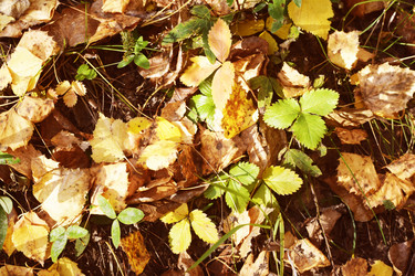 Similar image 6584044