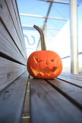 Similar image 6584051