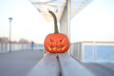 Similar image 6584059