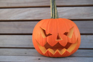 Similar image 6584075