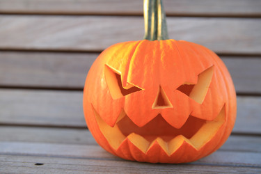 Similar image 6584079