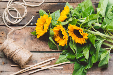 Similar image 6584113