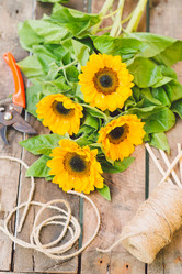 Similar image 6584114