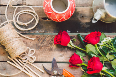 Similar image 6584117