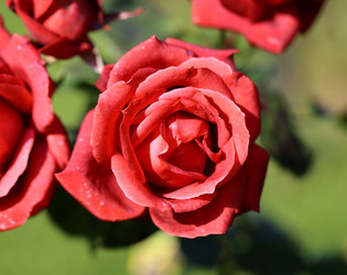 Similar image 6584183