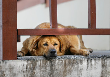 Similar image 6584184