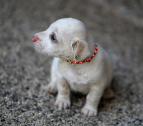 Similar image 6584185