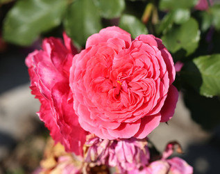 Similar image 6584189