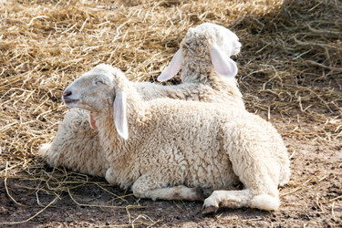 Similar image 6584247