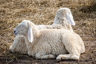 Similar image 6584273