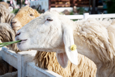 Similar image 6584278