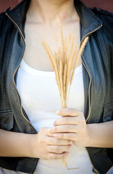 Similar image 6584327