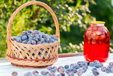 Similar image 6584510