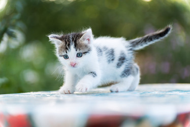 Similar image 6584527