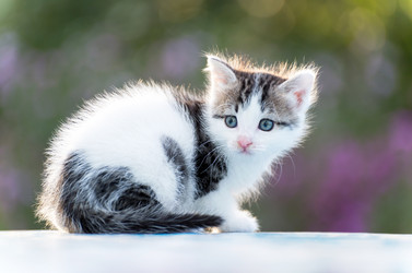 Similar image 6584539