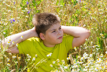 Similar image 6584550