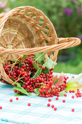 Similar image 6584554