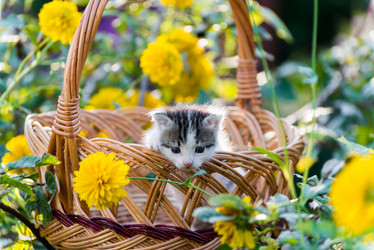 Similar image 6584563