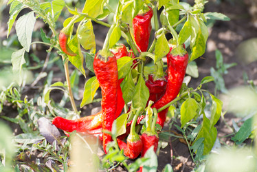 Similar image 6584587