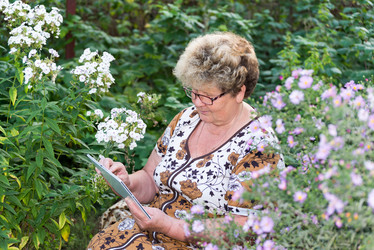 Similar image 6584593