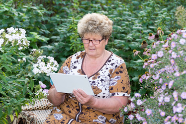 Similar image 6584596