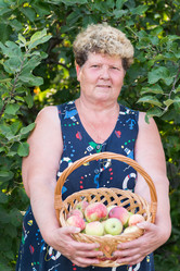 Similar image 6584612