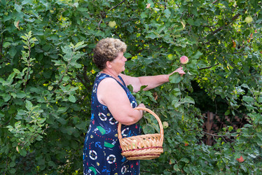 Similar image 6584613